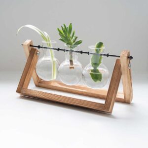 The Source - Home & Lifestyle - Propergator Vases - Ξυλινη βάση με βάζα για υδροπονική καλλιέργεια