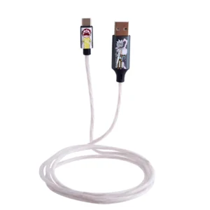 Lazerbuilt Rick & Morty Light-Up USB-C Φωτιζόμενο καλώδιο φόρτισης μήκους 1,2 μέτρα